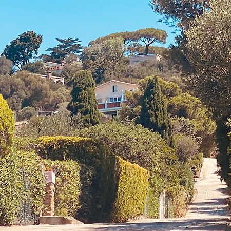 Les Oreades, Studio Le Marin Avec Vue Mer Imprenable Lejlighed Île du Levant Eksteriør billede