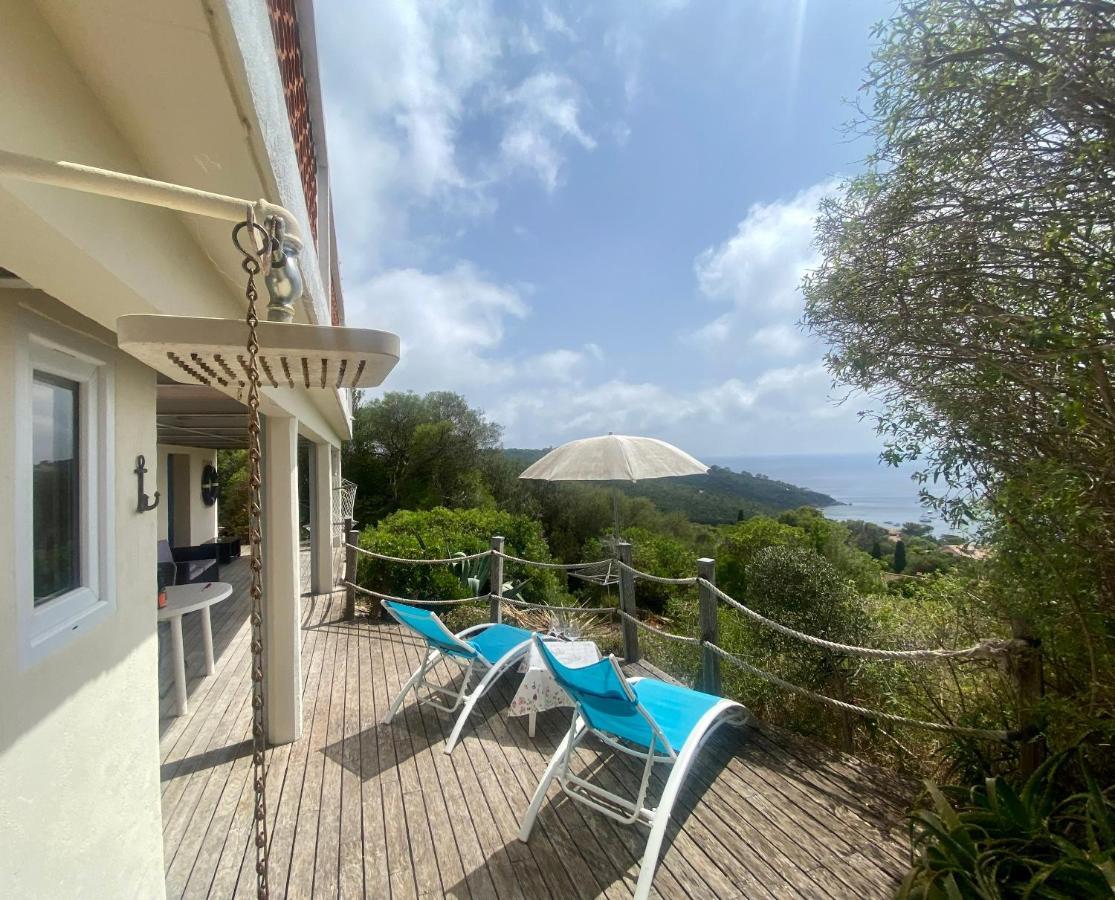 Les Oreades, Studio Le Marin Avec Vue Mer Imprenable Lejlighed Île du Levant Eksteriør billede