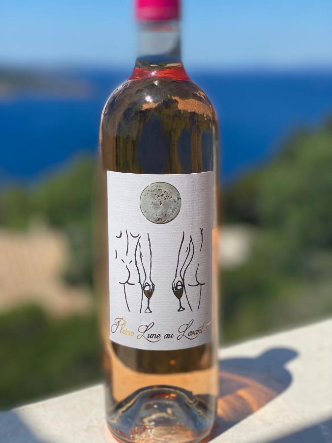 Les Oreades, Studio Le Marin Avec Vue Mer Imprenable Lejlighed Île du Levant Eksteriør billede